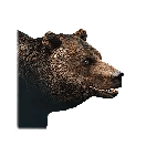 Once Human Bear Cub Icon