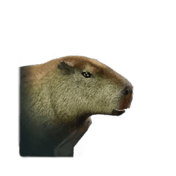 Once Human Little Capybara Icon