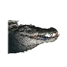 Once Human Crocodile Hatchling Icon