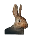 Once Human Rabbit Icon