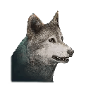 Once Human オオカミ Icon
