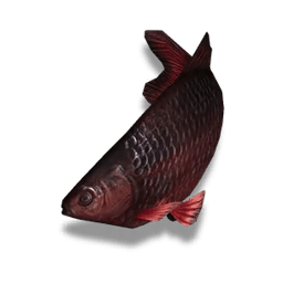 Sunfish (Black Rose)