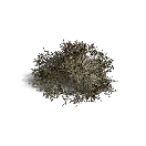 Once Human Кустарник 2 Icon