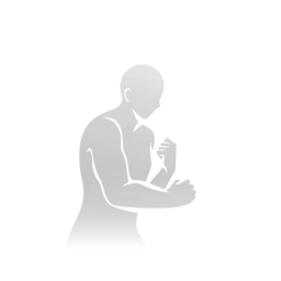 Art of Shadowboxing