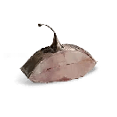 Anglerfish Fillet