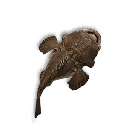 Anglerfish Skin