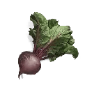 Once Human Deviated Beet Icon