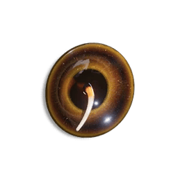 Dimension courbée