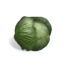 Once Human Cabbage Icon