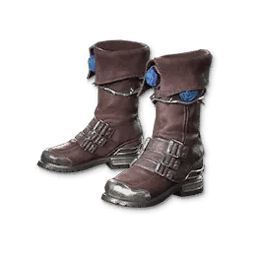 Camellia Chase Shoes