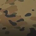 Once Human Color: Forest Camo Icon