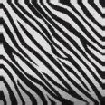 Color: Zebra Stripes