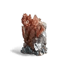 Coral Ore