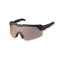 Swiftwing Ranger Sunglasses