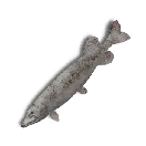 Once Human Frozen Northern Pike Icon