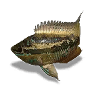 Once Human Large Yellow Cichlid Icon