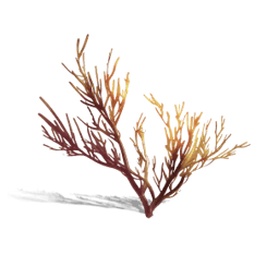 Once Human Golden Willow Koralle Icon