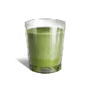 Once Human Icemelon Icon