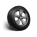 Once Human Standard Tire Icon