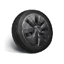 Once Human Master Tire Icon