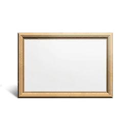 Once Human Small Frame Ⅰ Icon