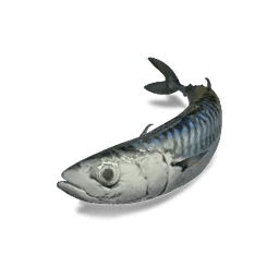 Mackerel