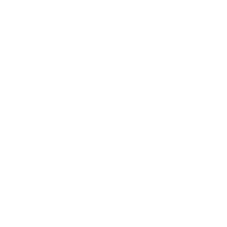 Once Human Точечный удар Icon