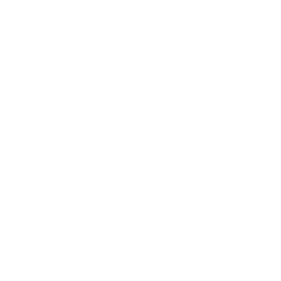 Once Human カウボーイ Icon