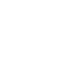 Frontalkonflikt