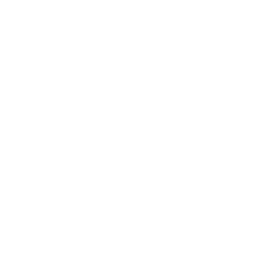 Munitions Amplifier