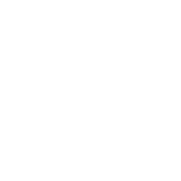 Elementarresonanz