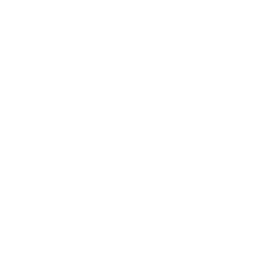 Once Human Flame Resonance Icon