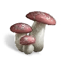 Once Human Deviated Mushroom Icon