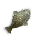 Bubble Fish Skin