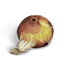 Once Human Roasted Orange Icon