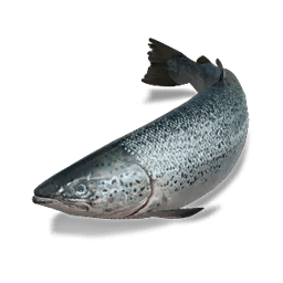 Once Human Salmon Icon