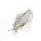 Once Human Upper World Feather Icon
