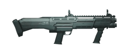 DP12 Icon