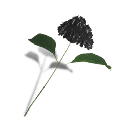 Once Human Hortensias negras Icon