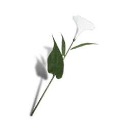 Once Human Petunias blancas Icon