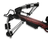Fragment „Compoundbogen“
