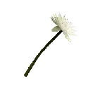 Once Human 변이 노란 연꽃 Icon