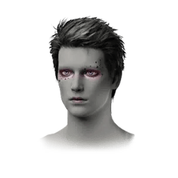 Préréglage de maquillage : Pixels Perdus (H) 