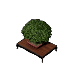 Bonsai