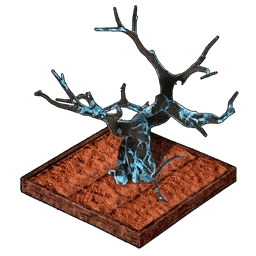 Skillfruit Orchard