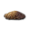 Astral Sand Value Icon