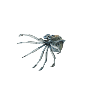 Crabsquid