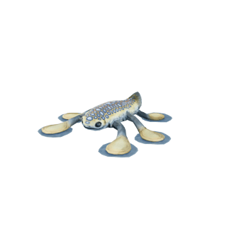 Hoverfish