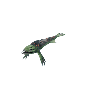 Lava Lizard