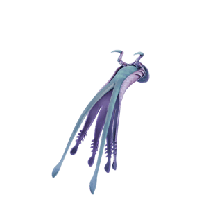 Warper